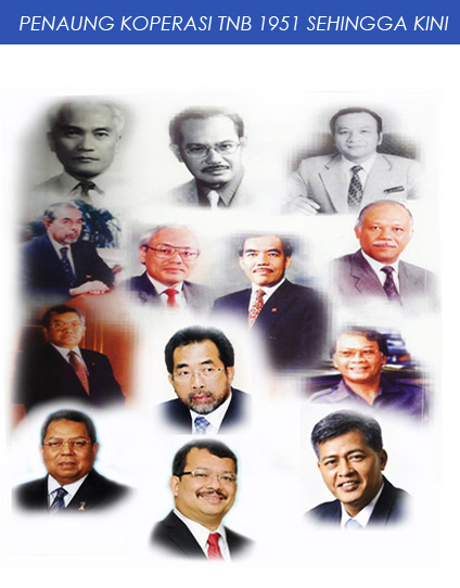 koptnb-koperasi-tenaga-nasional-berhad